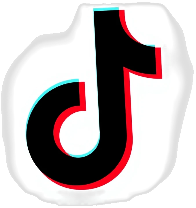 TikTok Icon
